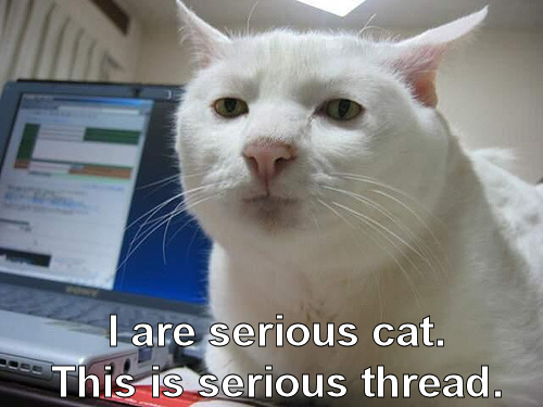 aerroraccessdenied.com_files_images_serious_cat.jpg