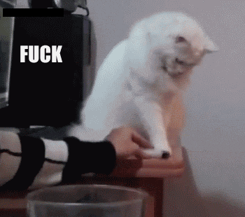 ai.imgur.com_qmEjg0l.gif