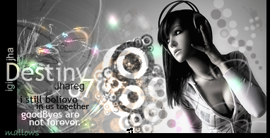 ai35.tinypic.com_oa94ee.png