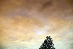 astatic.flickr.com_108_300613551_fb4bfb1032_m.jpg