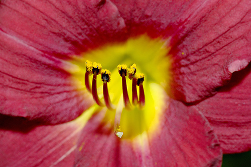 astatic.flickr.com_42_99931032_08d578df5d.jpg
