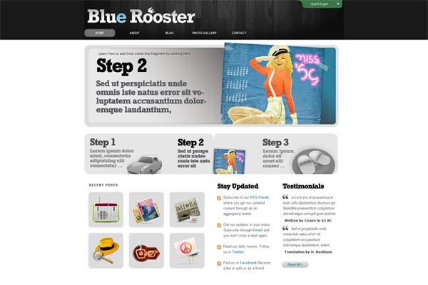 awordpress.themeshq.net_wp_content_uploads_2010_07_Blue_Rooster_wordpress_theme.jpg