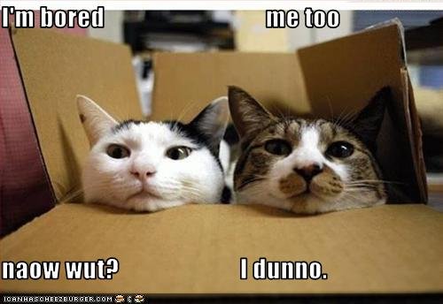 awww.glenbrookenews.com_wp_content_uploads_2011_04_bored3.jpg
