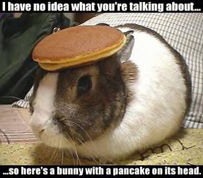 bunny-and-pancake.jpg