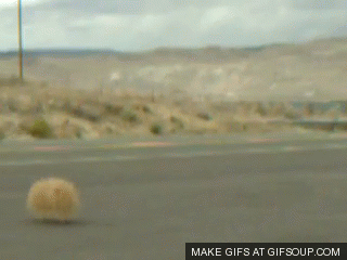 ceb1b85a5ec88639d4ed283fd0d2db4a.gif