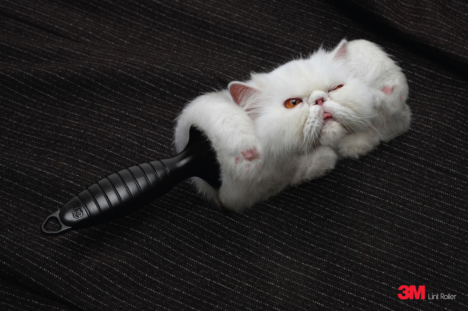 lint-cat.jpg