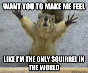 squirrel.jpg