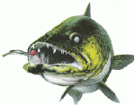 Outdoor-Fishing