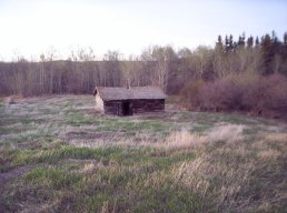 dziomek