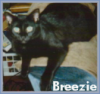 bree623