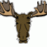 A Nonny Moose