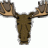 A Nonny Moose